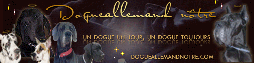 Bienvenue sur le Forum des Passionnés de chien race Boxer